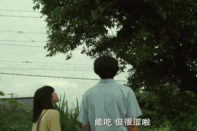 把阳光和时光都锁进玻璃瓶子里，让他在酷夏抚慰你燥热的心