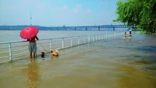 武汉冬天怎么取暖,武汉退出火炉