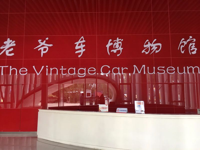 青山绿水间自由的飞翔,青山绿水放飞心情拥抱大自然