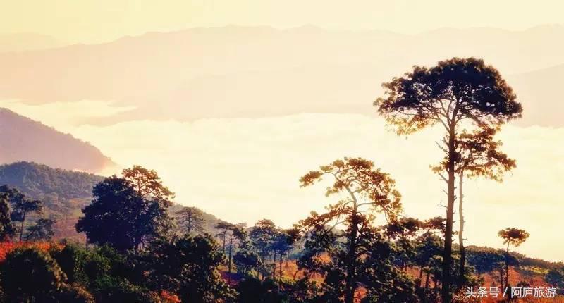 浣犵殑鍚嶅瓧鍗楀崕,浣犵殑鍚嶅瓧鎯呰妭