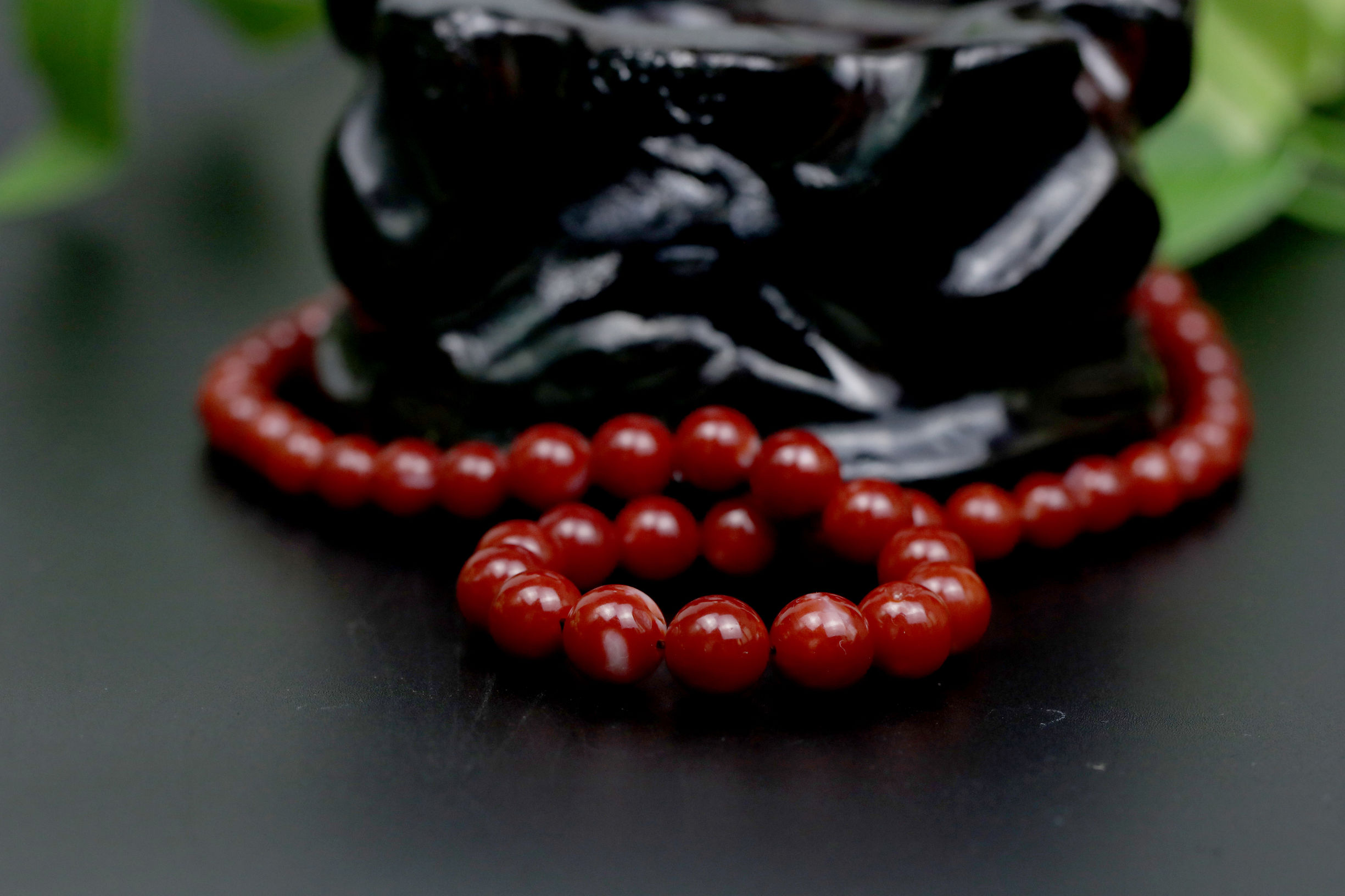 真的红珊瑚是不是很贵,阿卡红珊瑚为什么那么贵