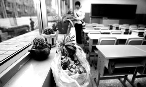 学校甲醛超标归哪个部门管,学校甲醛和苯中毒怎么办