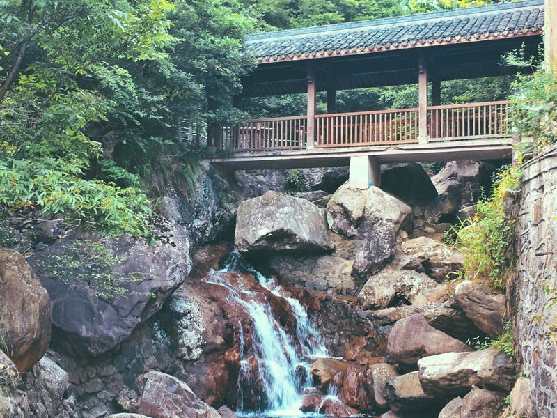 一场说走就走暑假旅行,一场说走就走的旅行来了