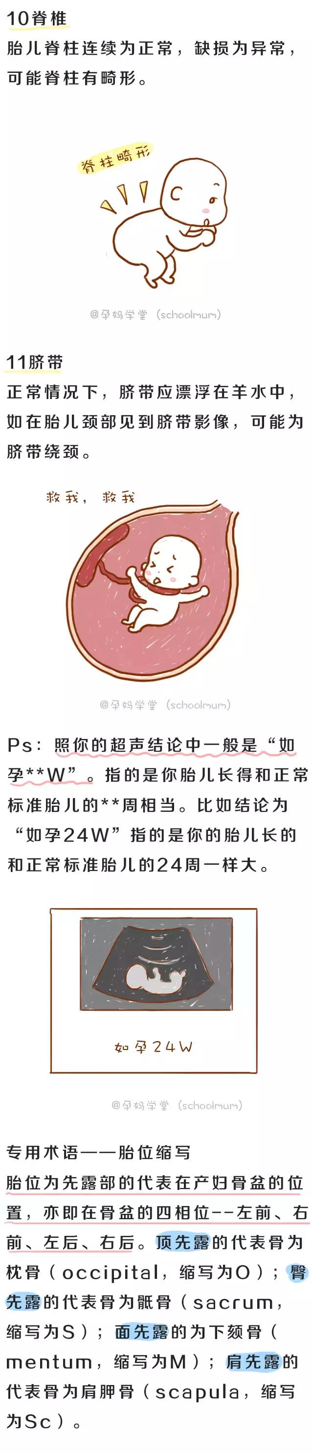 3分钟读懂孕期B超单！胎宝发育是否正常，答案都在这些数据里！