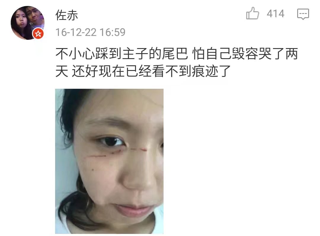 撸猫会不会上瘾,撸猫的正确撸法