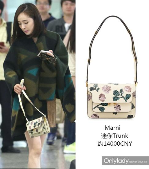 爱马仕杨幂同款包包,mk杨幂同款包包