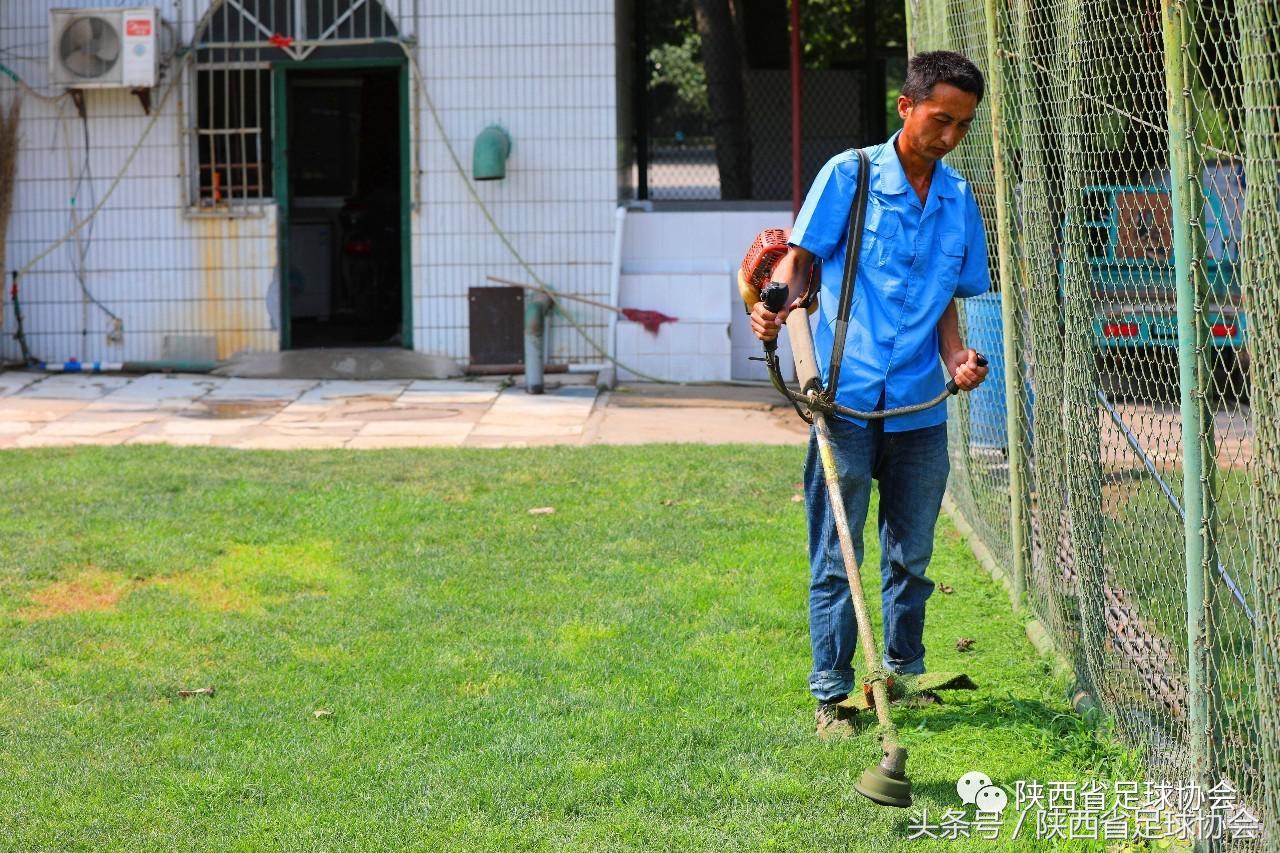 陕西足球背后人物系列丨丈八训练基地绿茵美容师，高温下坚守一线保障场地