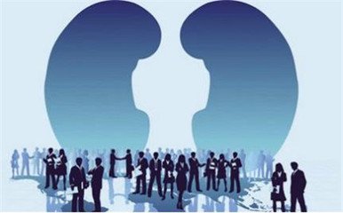 紫癜性肾炎看病记录,治疗紫癜性肾炎的中药有哪些