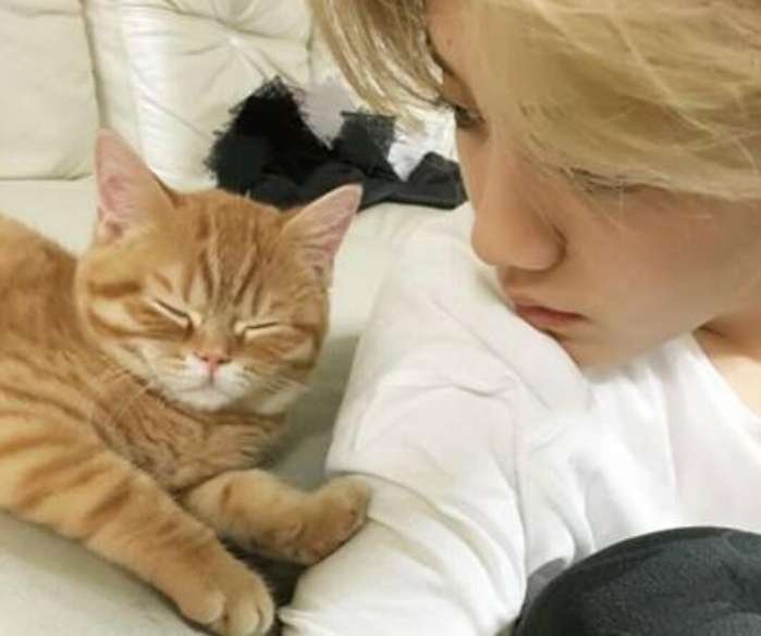 娱乐圈明星胡歌,娱乐圈男明星胡歌