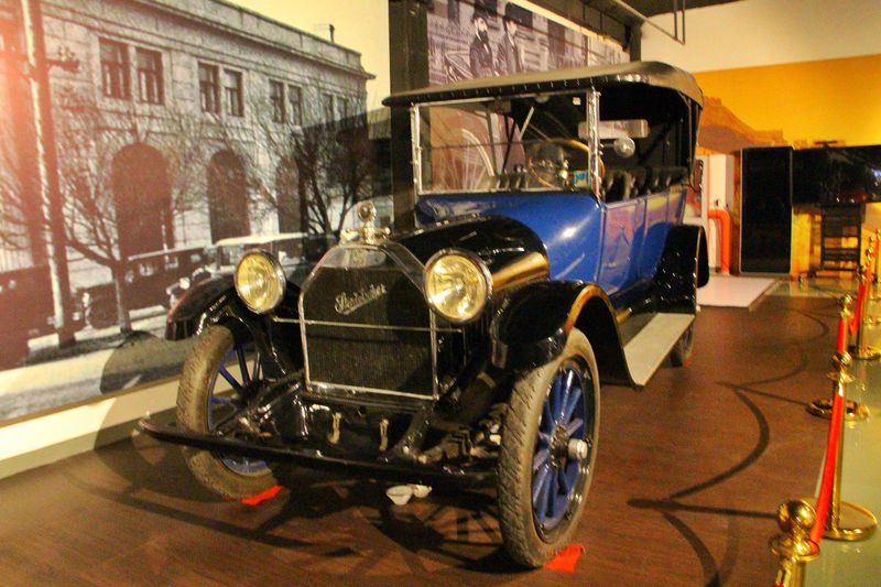 青山绿水间自由的飞翔,青山绿水放飞心情拥抱大自然