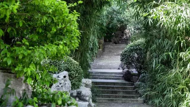 高温下的上海城市,上海40度以上高温