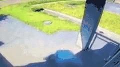 澳洲直邮就不需要中文标识吗,海外直邮和保税区发货的区别