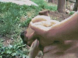 佛前一跪三千年，未见我佛心生怜；莫是尘埃遮佛眼，原是未献香火钱；佛若不贪，为何要世人供奉？