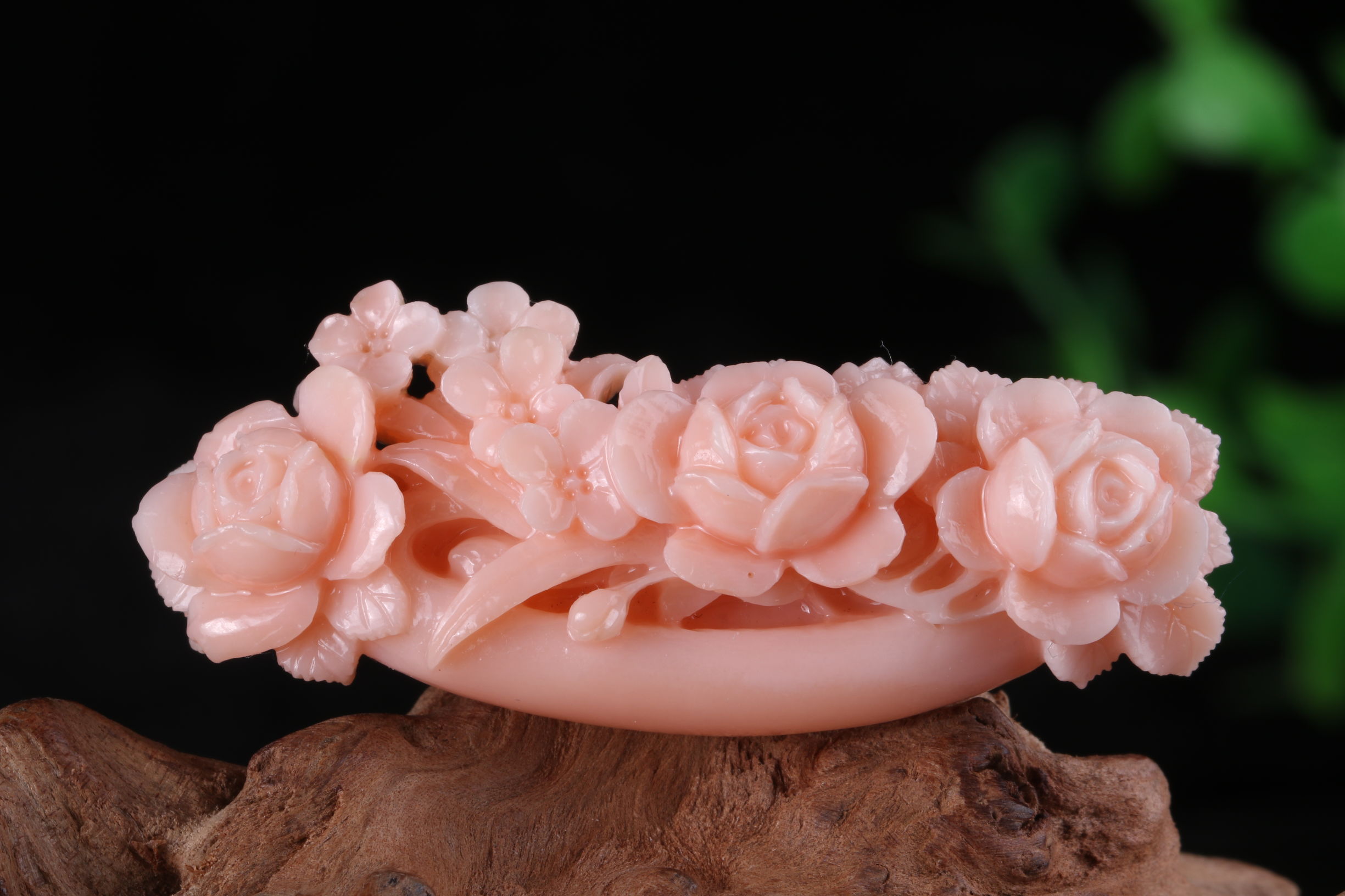 有机宝石珊瑚介绍,珊瑚宝石是什么