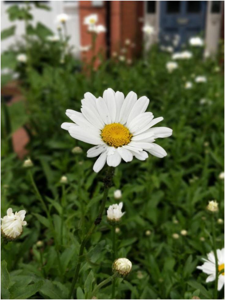 一加5手机最新款,一加5现在还值得入手