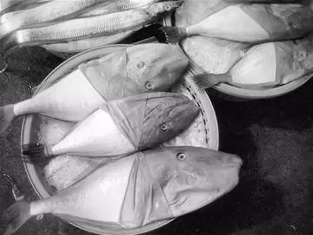 《一啸渔乐》常见的海鱼你认识多少？