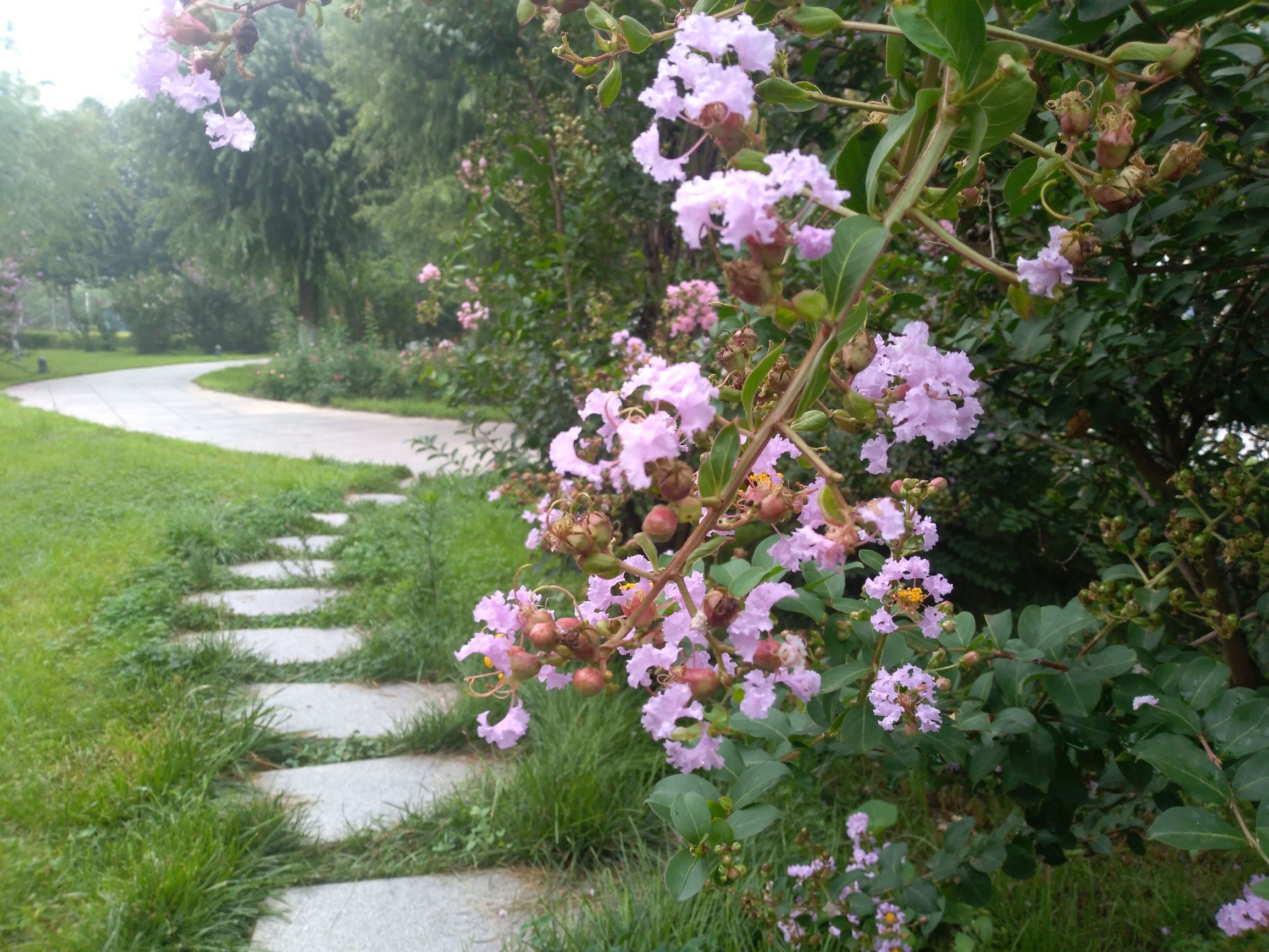 华为畅享7高配版,华为畅享7怎么样啊