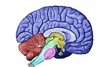 额叶胶质瘤引发癫痫不手术可以吗,二级胶质瘤突然出现癫痫怎么回事