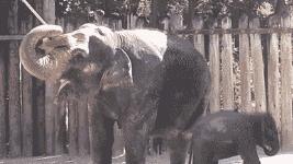 王者手速怎么练,魔方如何练手速