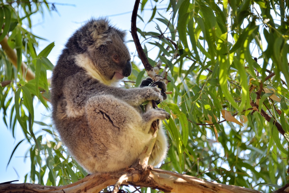 南大洋的深海,南大洋海域