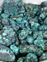 湖北松菌最多的地方,湖北松是什么意思