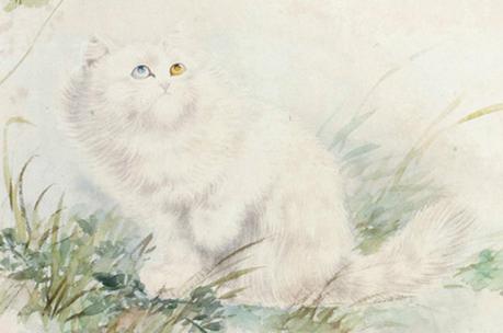 闅鹃亾鍦熺尗灏辫琚珜寮冨悧,鍦熺尗鐪熺殑寰堝彲鐖卞悧