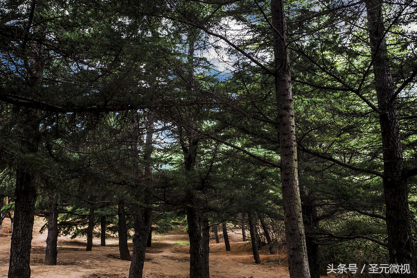 使用双面打印,使用双面打印节约纸张