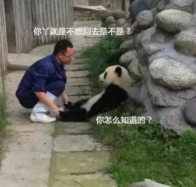 未来中国体面而收入高的十大职业,10大最赚钱职业排行榜