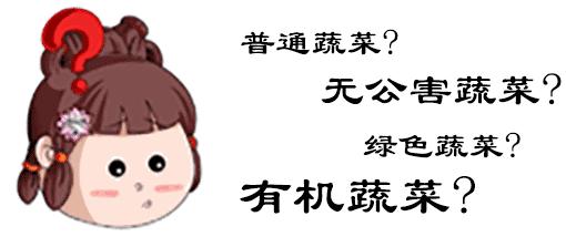 自家阳台上种的无公害绿叶菜,绿色蔬菜的种植方式是什么