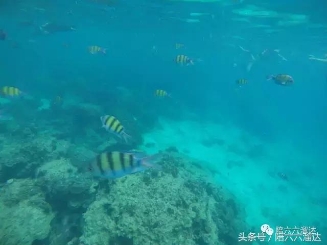 普吉暑假亲子游,这个暑假去旅游怎么样