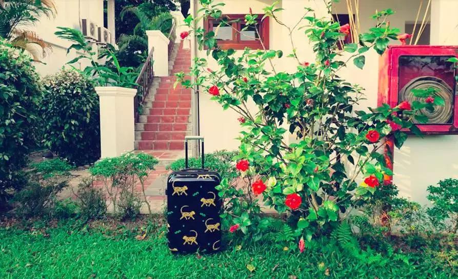 平价行李箱推荐测评,高级颜值平价行李箱推荐