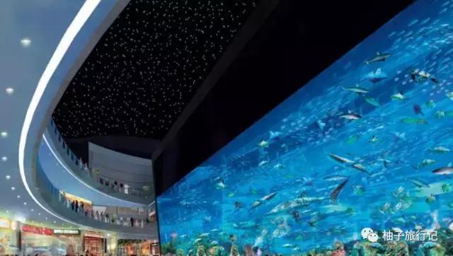 怎么讲解迪拜旅游线路,迪拜旅游讲解视频