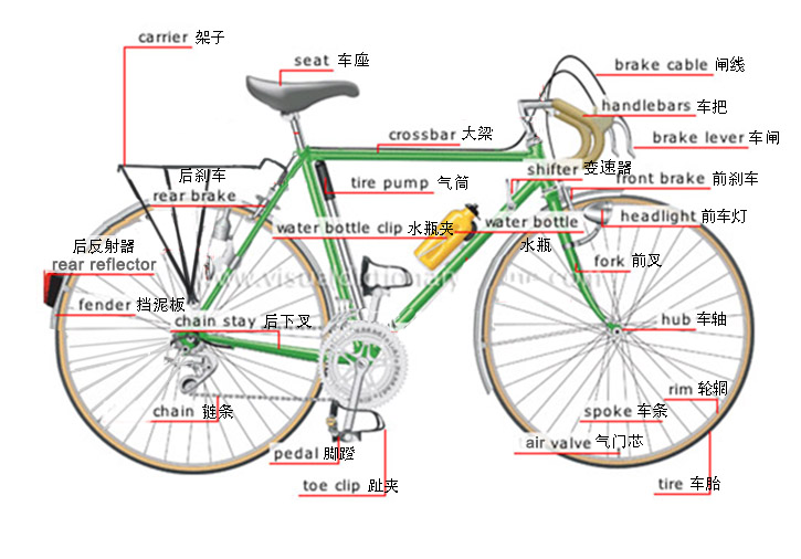 骑自行车的亲子英语,教孩子骑自行车英语怎么说