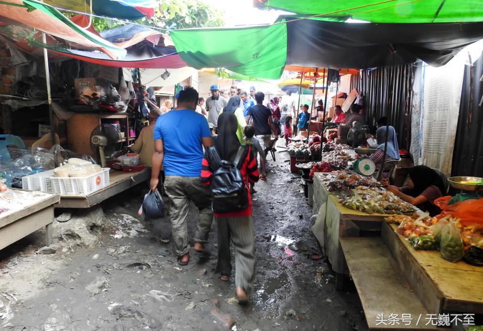 仙本那人间仙境的秘密,仙本那不为人知的一面