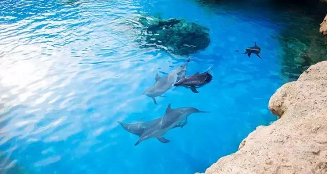 缁靛欢娴峰哺,寤剁坏娴峰哺