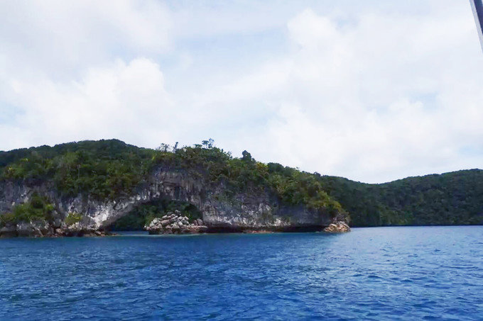 看鲨鱼，玩泥巴，看男人穿婚纱，带你看不一样的帕劳