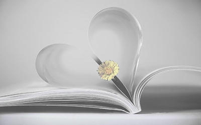 书发霉了怎么彻底去异味,如何防止书本发霉