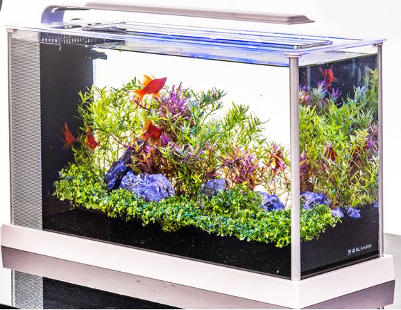 一套养鱼装备多少钱,新手养鱼买什么装备