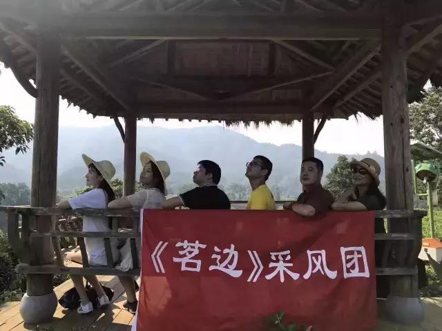 小产区祥源茶,小产区祥源茶礼盒