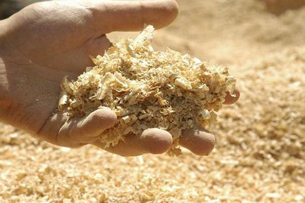 新手养花必备药水和肥料,懒人花盆养花花根处放什么