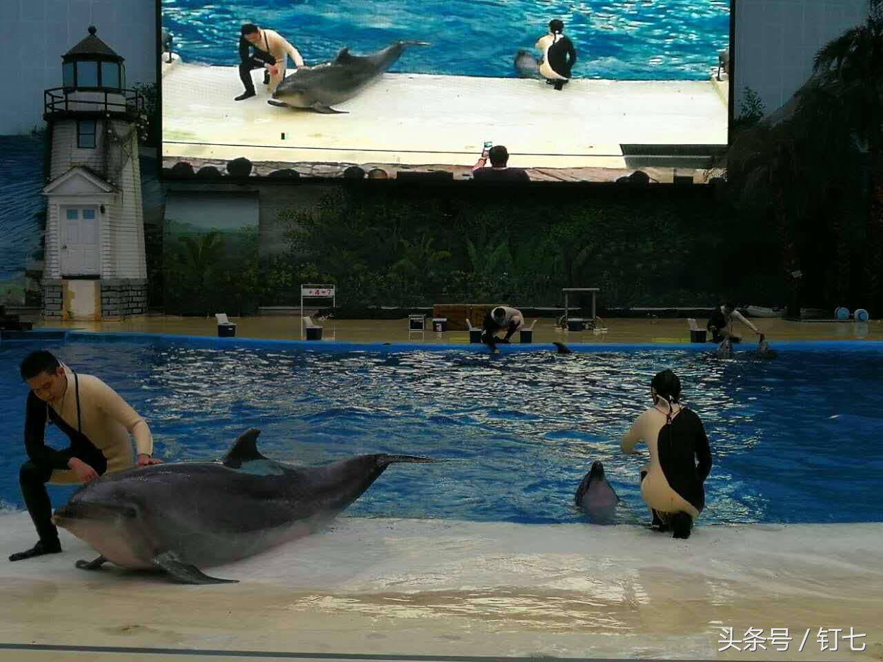 夏天与海绝配,夏天与海洋更配的图片