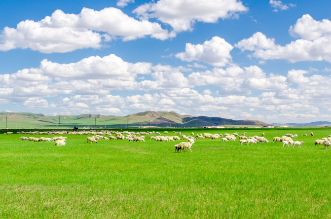 天堂草原锡林郭勒歌词及对白,真正的内蒙古锡林郭勒大草原