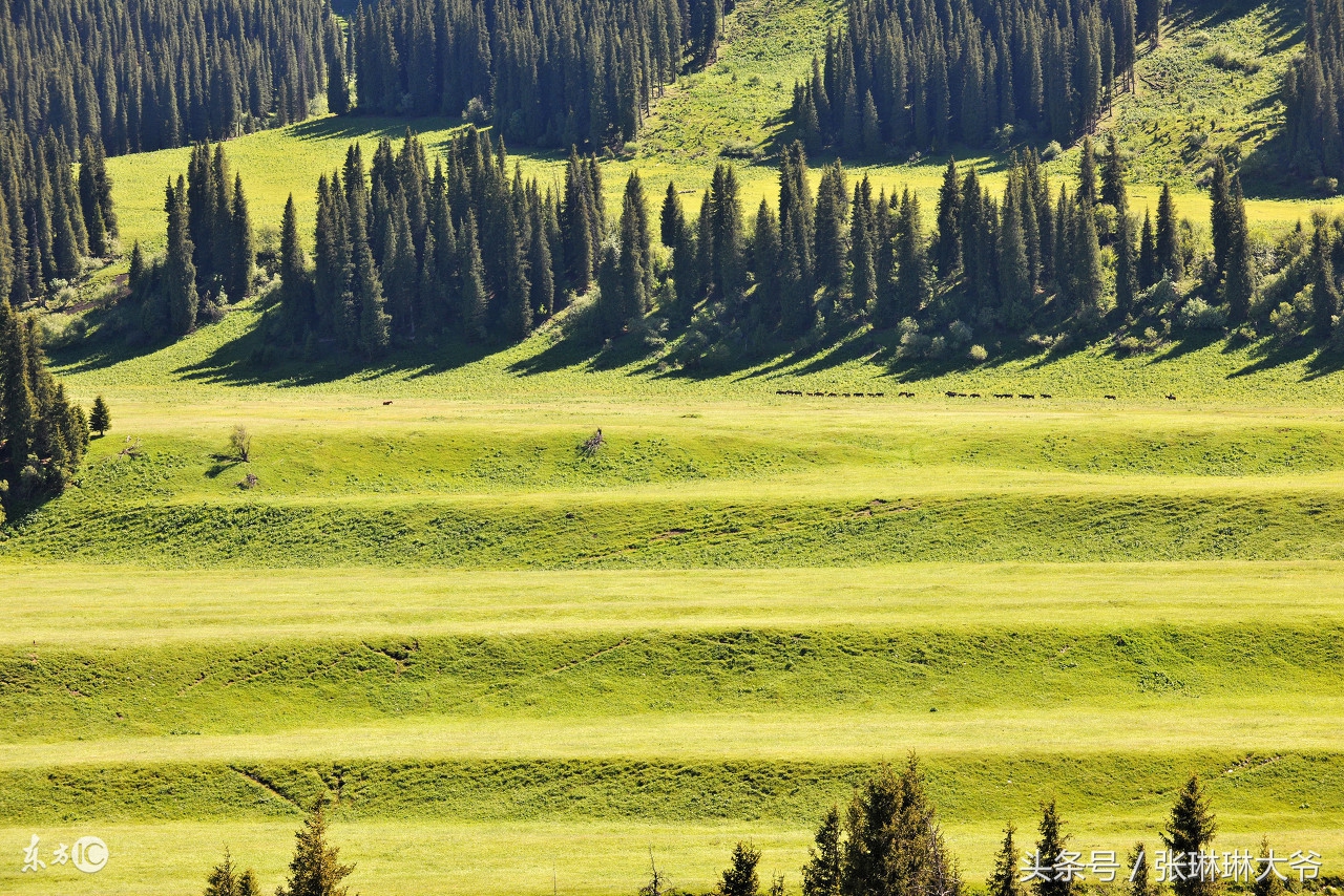 中国十大必去的旅游景点推荐理由,最值得去旅游的地方11个景点