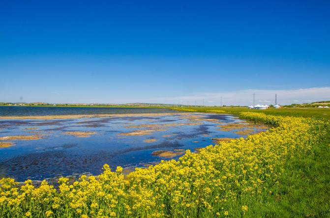 天堂草原锡林郭勒歌词及对白,真正的内蒙古锡林郭勒大草原