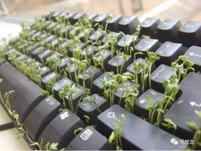 你们有遇到过这样的同事吗,你们有遇到这样的同事吗