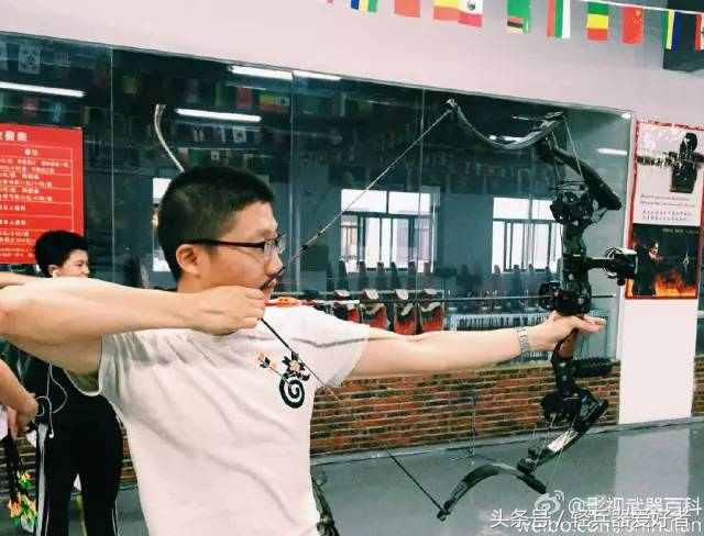 “*博兰**之牙到铁血战士”现代弓箭们的电影传奇