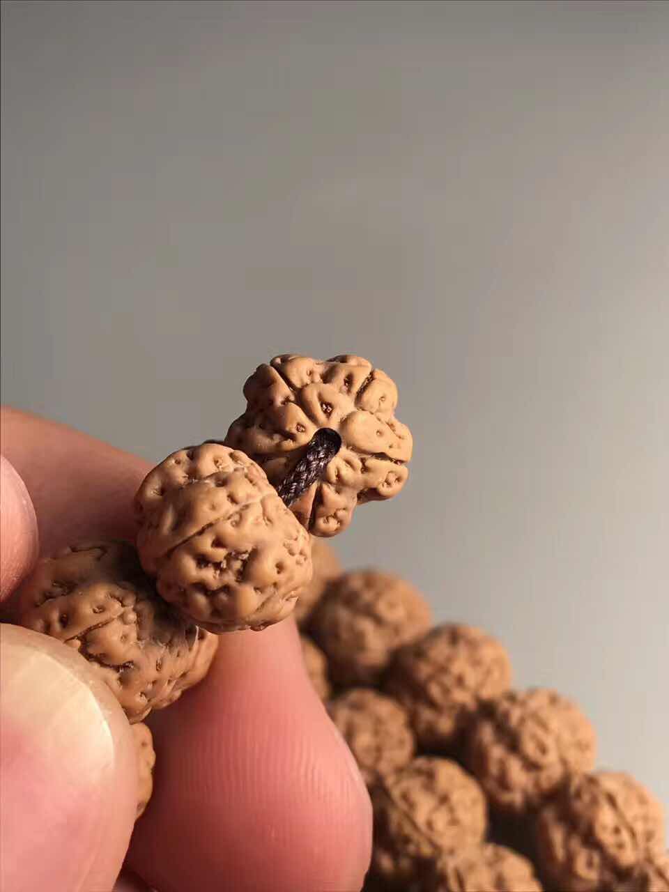 什么样的小金刚菩提最好,菩提小金刚介绍