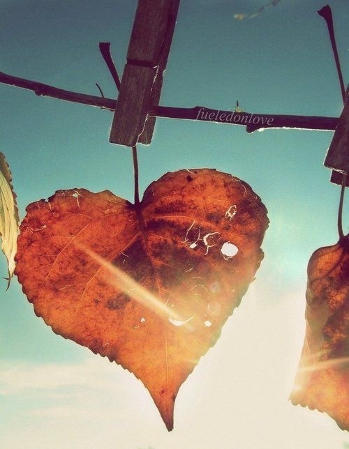 男人的G盘里存点*片A**、小视频之类的东西都不算什么大事