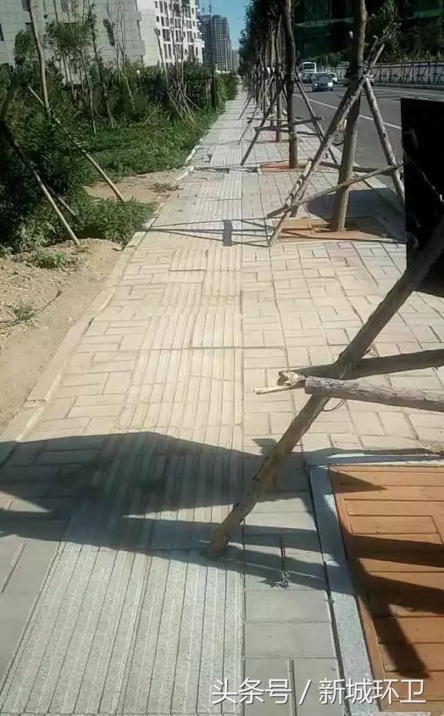 环境卫生最新整治,环境卫生整治限期整改通知书