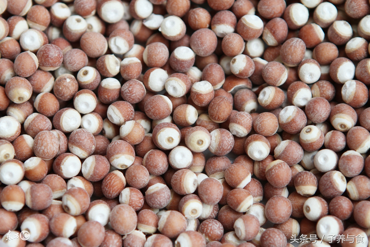 芡实怎么吃最有营养价值,芡实什么人不适合吃